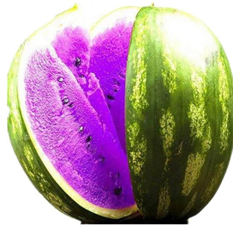 Watermelon Seeds – Purple