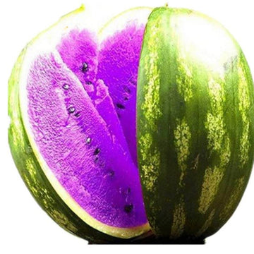 Watermelon Seeds – Purple