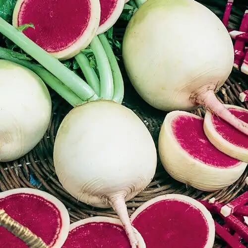 Watermelon Radish Seeds 