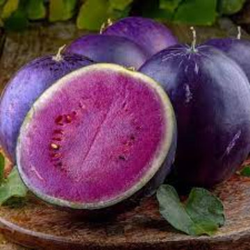 Watermelon Seeds – Rare Purple Flesh