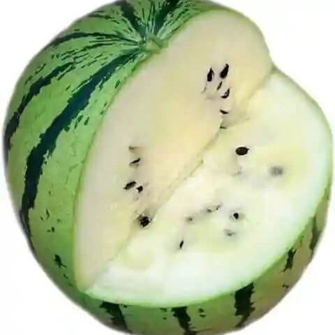 Watermelon Seeds – White