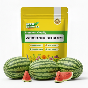 Watermelon Seeds - Carolina Cross