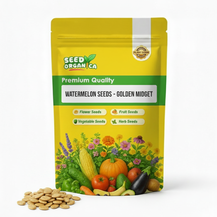 Watermelon Seeds - golden midget
