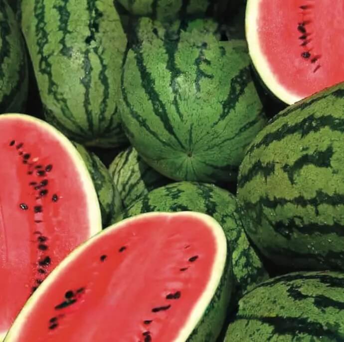 Watermelon Seeds – Crimson Sweet