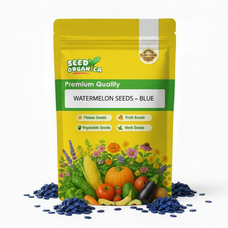 Watermelon Seeds – Blue