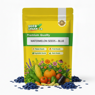 Watermelon Seeds – Blue
