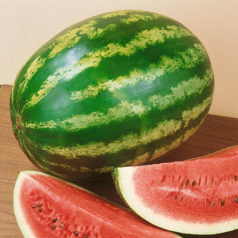 Watermelon Seeds – Crimson Sweet