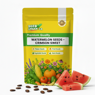 Watermelon Seeds – Crimson Sweet