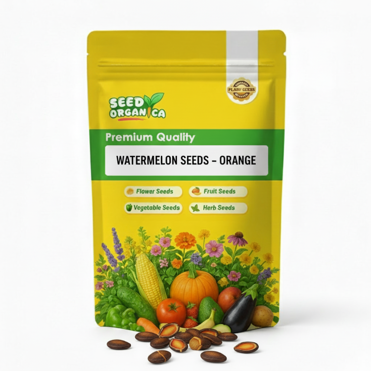 Watermelon Seeds – Orange
