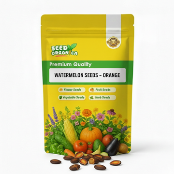 Watermelon Seeds – Orange