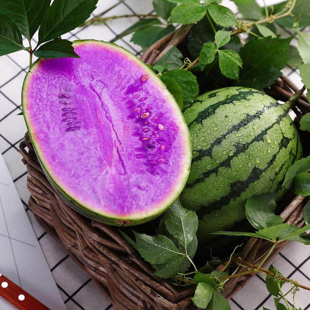 Watermelon Seeds – Purple