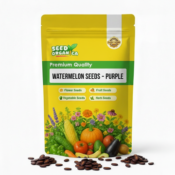 Watermelon Seeds – Purple