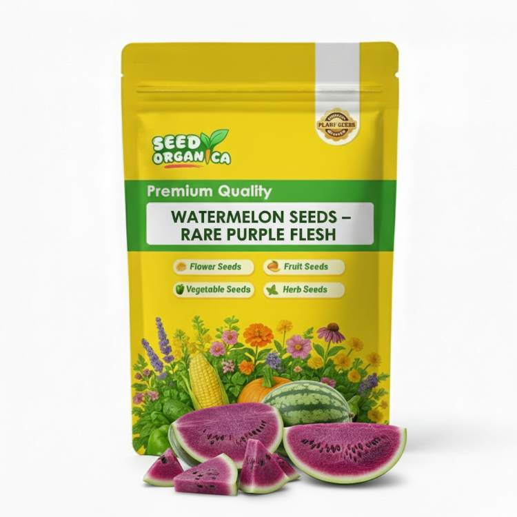 Watermelon Seeds – Rare Purple Flesh
