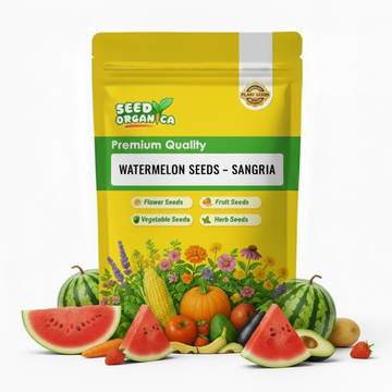 Watermelon Seeds – Sangria
