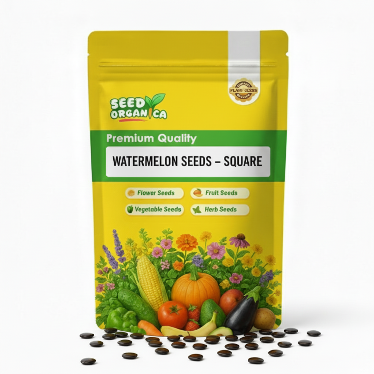 Watermelon Seeds – Seedless