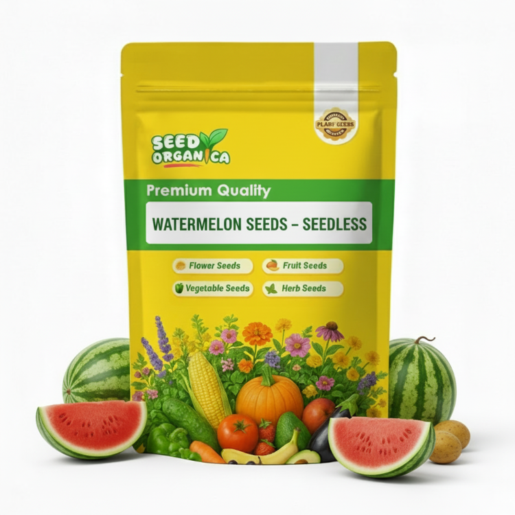 Watermelon Seeds – Seedless