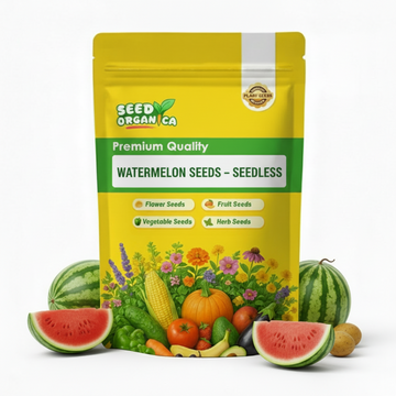 Watermelon Seeds – Seedless