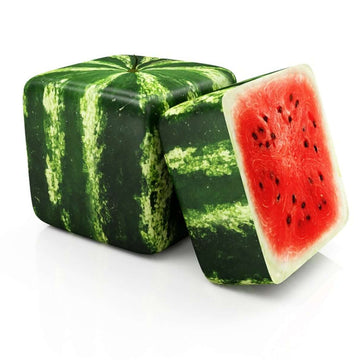 Watermelon Seeds – Square