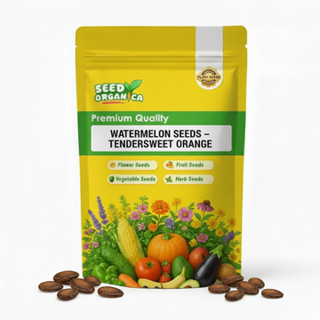 Watermelon Seeds – Tendersweet Orange