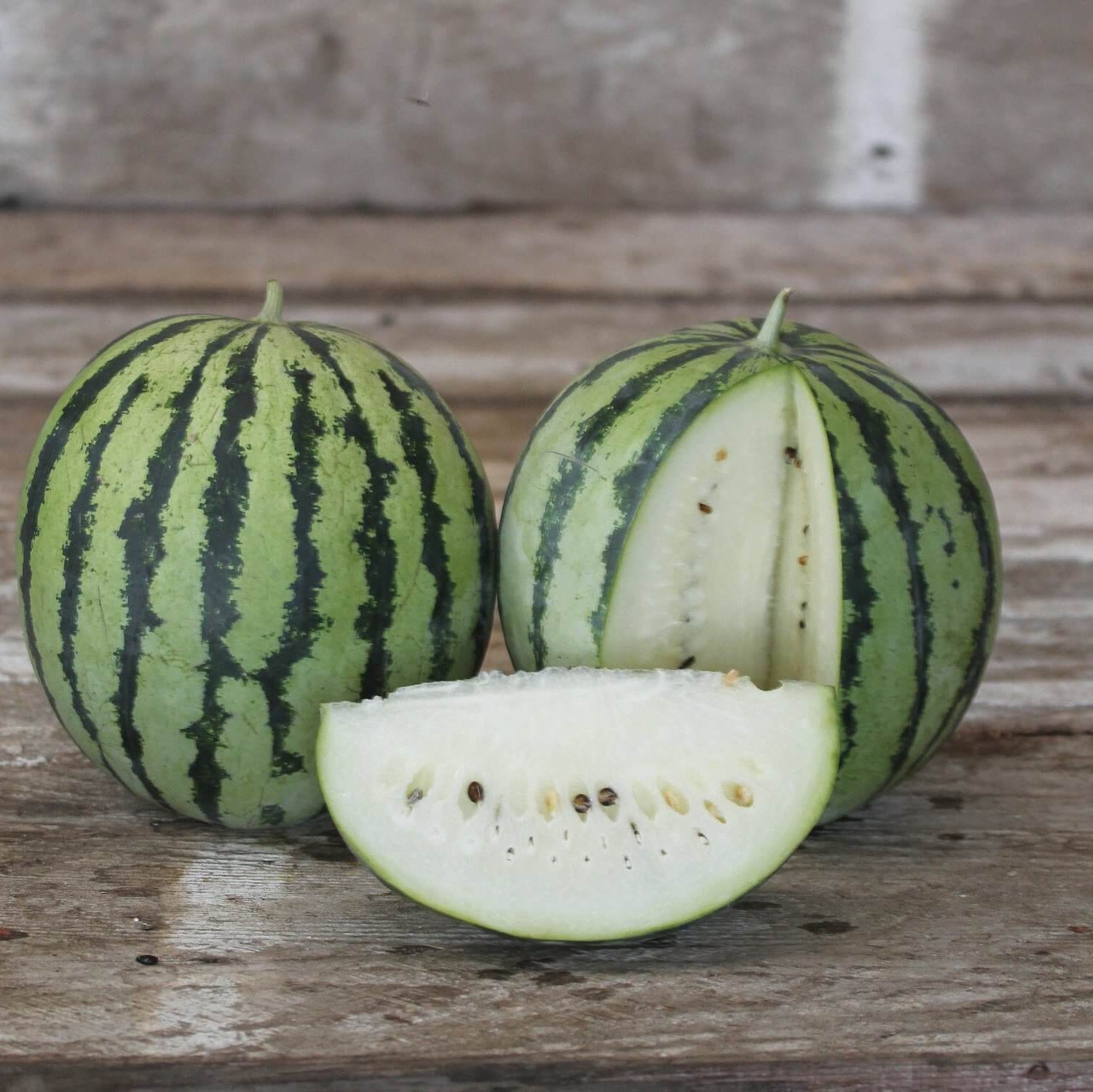 Watermelon Seeds – White