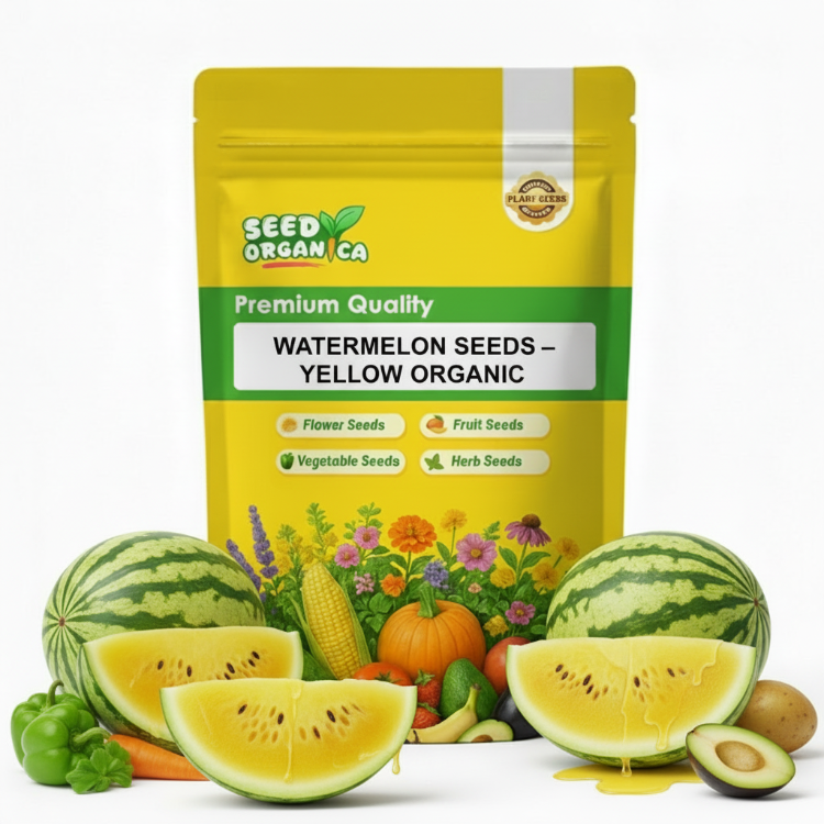 Watermelon Seeds – Yellow Organic