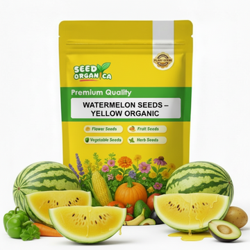 Watermelon Seeds – Yellow Organic