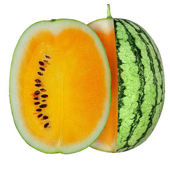 Watermelon Seeds – Tendersweet Orange