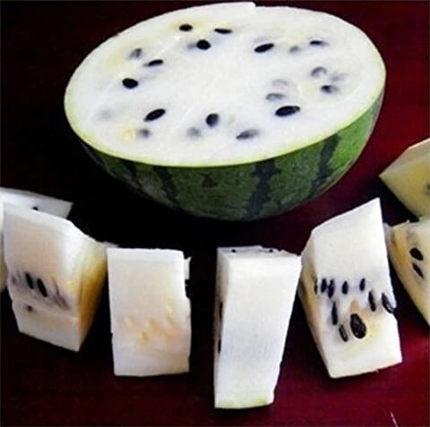 Watermelon Seeds – White