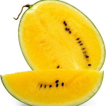 Watermelon Seeds – Yellow Organic