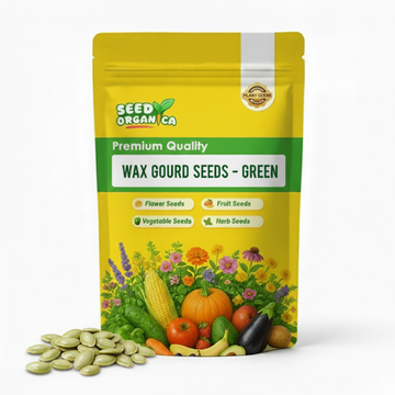 Wax Gourd Seeds – Green
