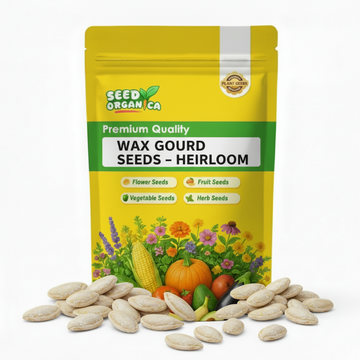Wax Gourd Seeds – Heirloom