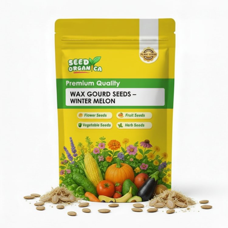 Wax Gourd Seeds – Winter Melon