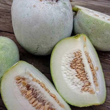 Wax Gourd Seeds – Winter Melon