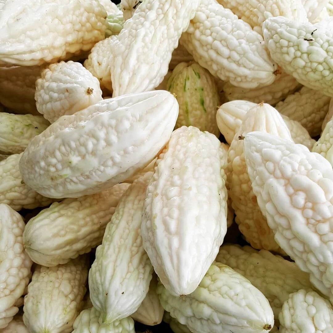 White Bitter Gourd Seeds 