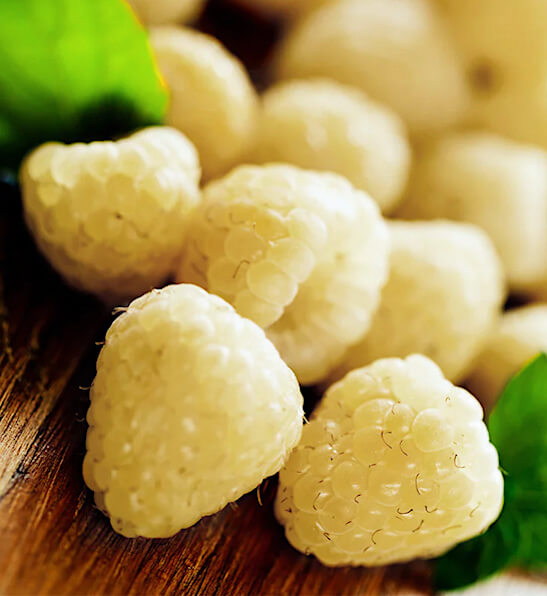 White Blackberry Seeds