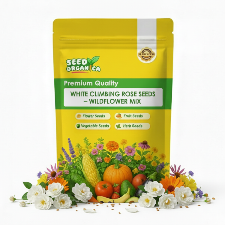 White Climbing Rose Seeds – Wildflower Mix
