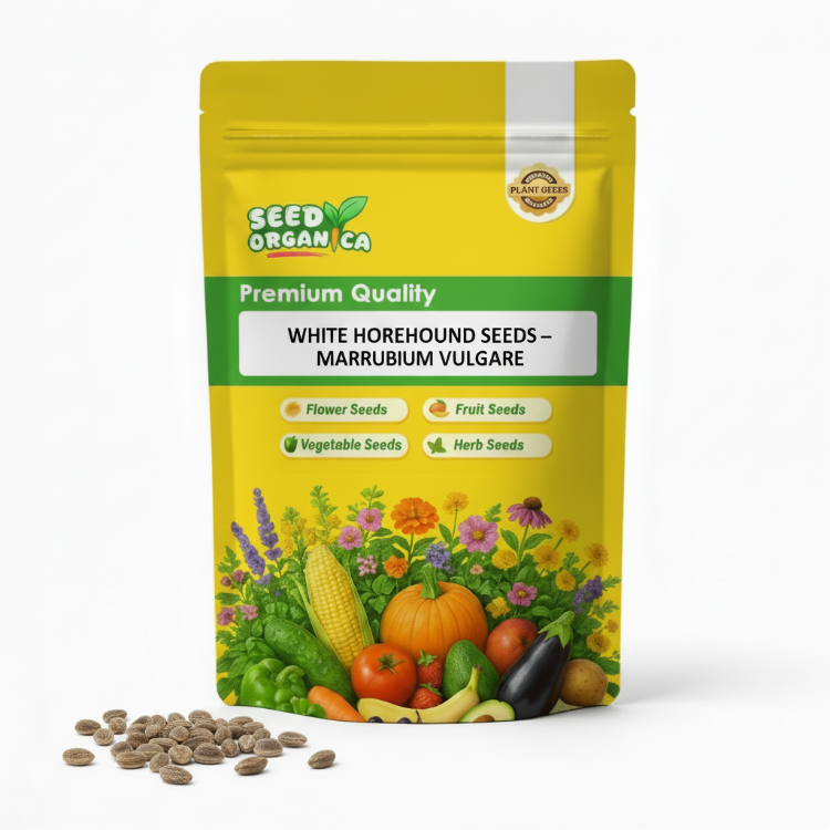 White Horehound Seeds – Marrubium vulgare
