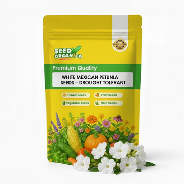 White Mexican Petunia Seeds – Drought Tolerant