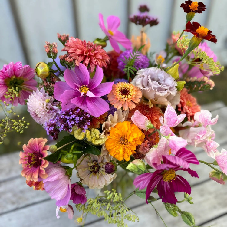Wildflower Seeds – All In One Bouquet Mix