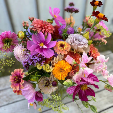 Wildflower Seeds – All In One Bouquet Mix