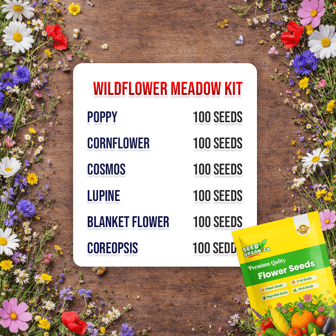 Wildflower Meadow Kit