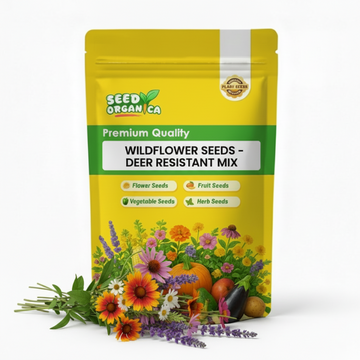 Wildflower Seeds - Deer Resistant Mix