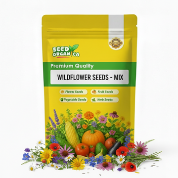 Wildflower Seeds - Mix