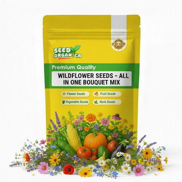Wildflower Seeds – All In One Bouquet Mix