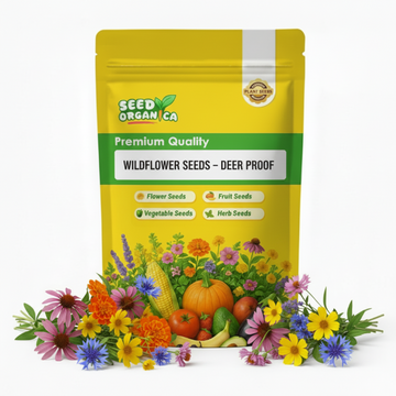 Wildflower Seeds – Deer Proof