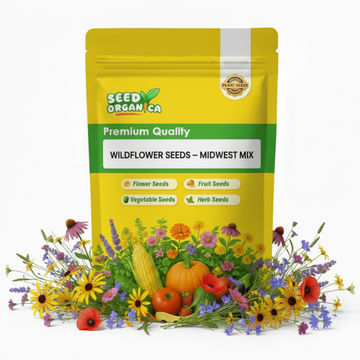 Wildflower Seeds – Midwest Mix