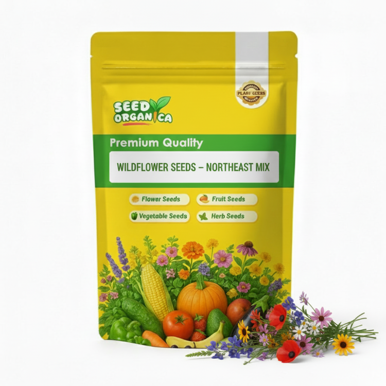 Wildflower Seeds – Northeast Mix