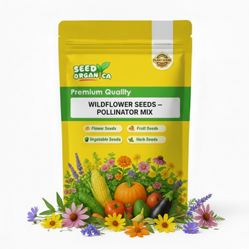 Wildflower Seeds – Pollinator Mix