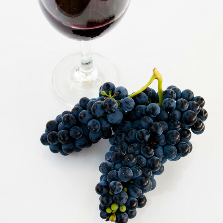 Wine Grape Seeds