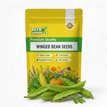 Winged Bean Seeds